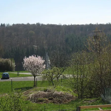 Hébergement de vacances Detached Holiday With Terrace And Its Own Garden In The Hunsr Ck *